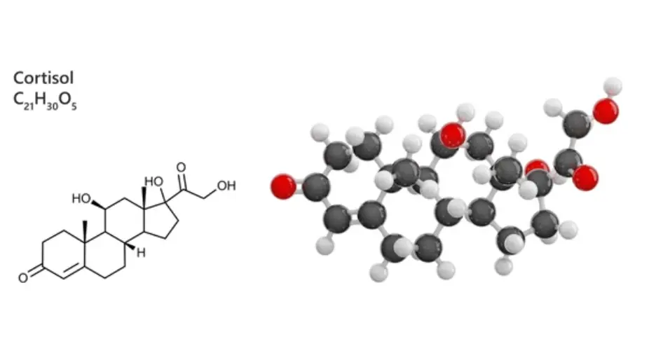 Lower Cortisol Levels: Practical Strategies