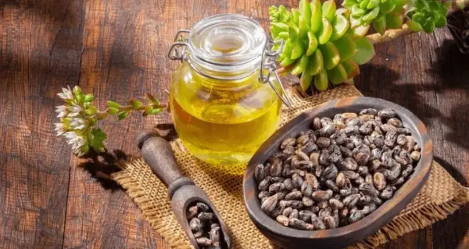 Castor Oil Uses: Improve Digestion Naturally
